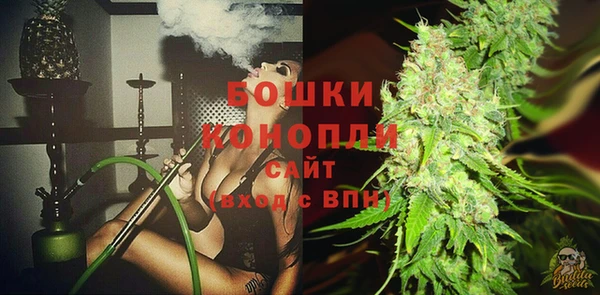 тгк Бронницы