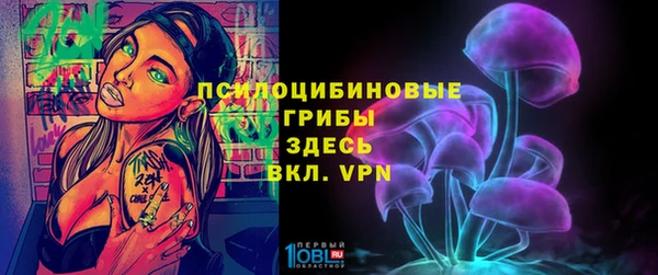 тгк Бронницы